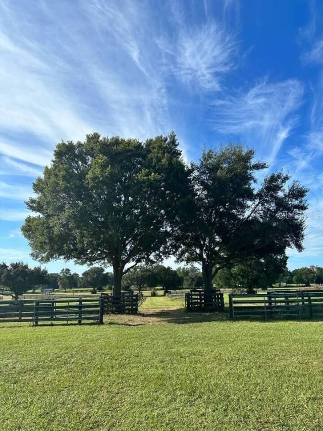 1350 NE 105th Lane, Anthony, FL 32617 Photo