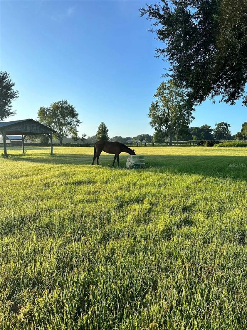 1350 NE 105th Lane, Anthony, FL 32617 Photo