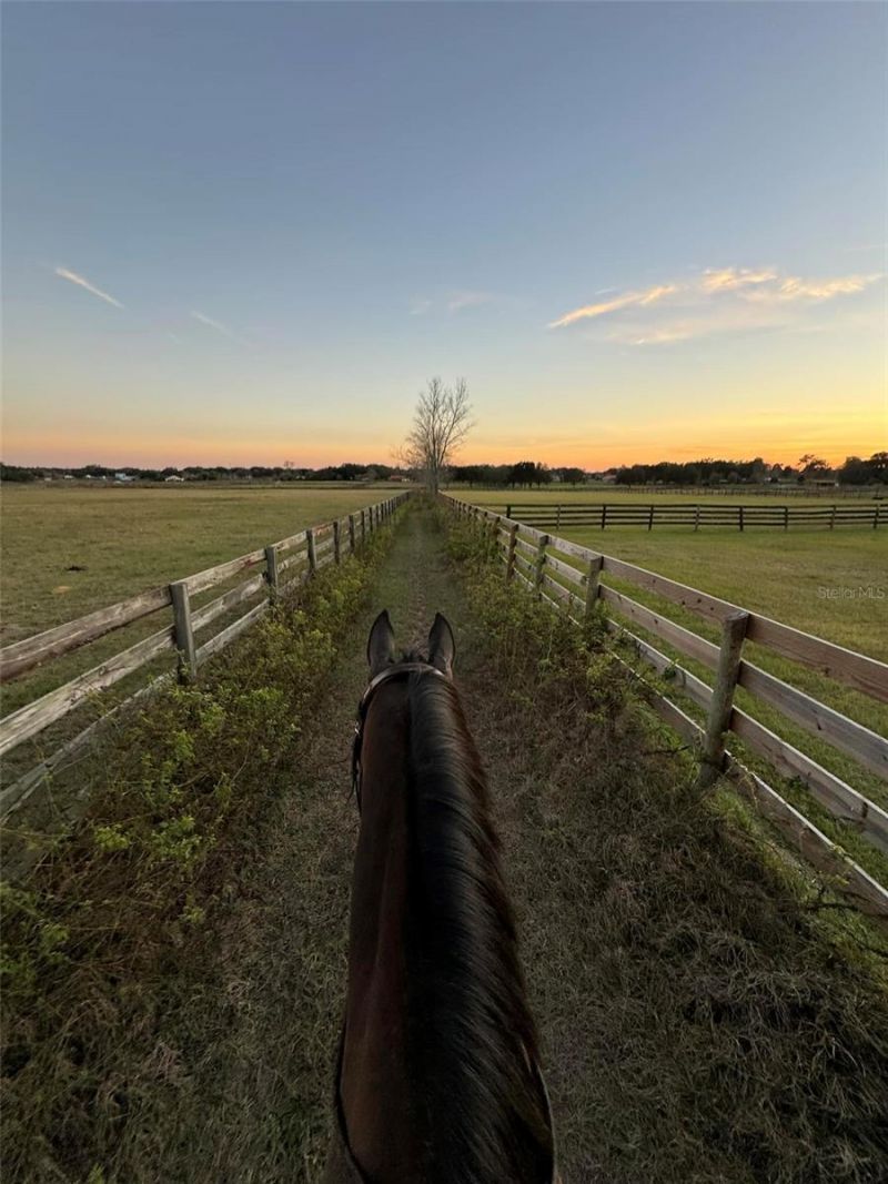 1350 NE 105th Lane, Anthony, FL 32617 Photo