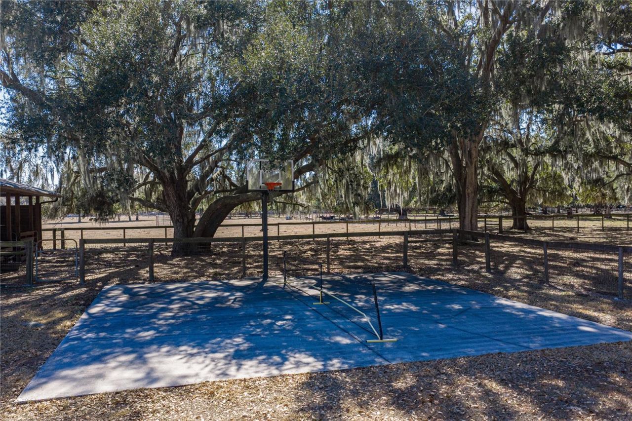 808 Old Welcome Road, Lithia, FL 33547 Photo