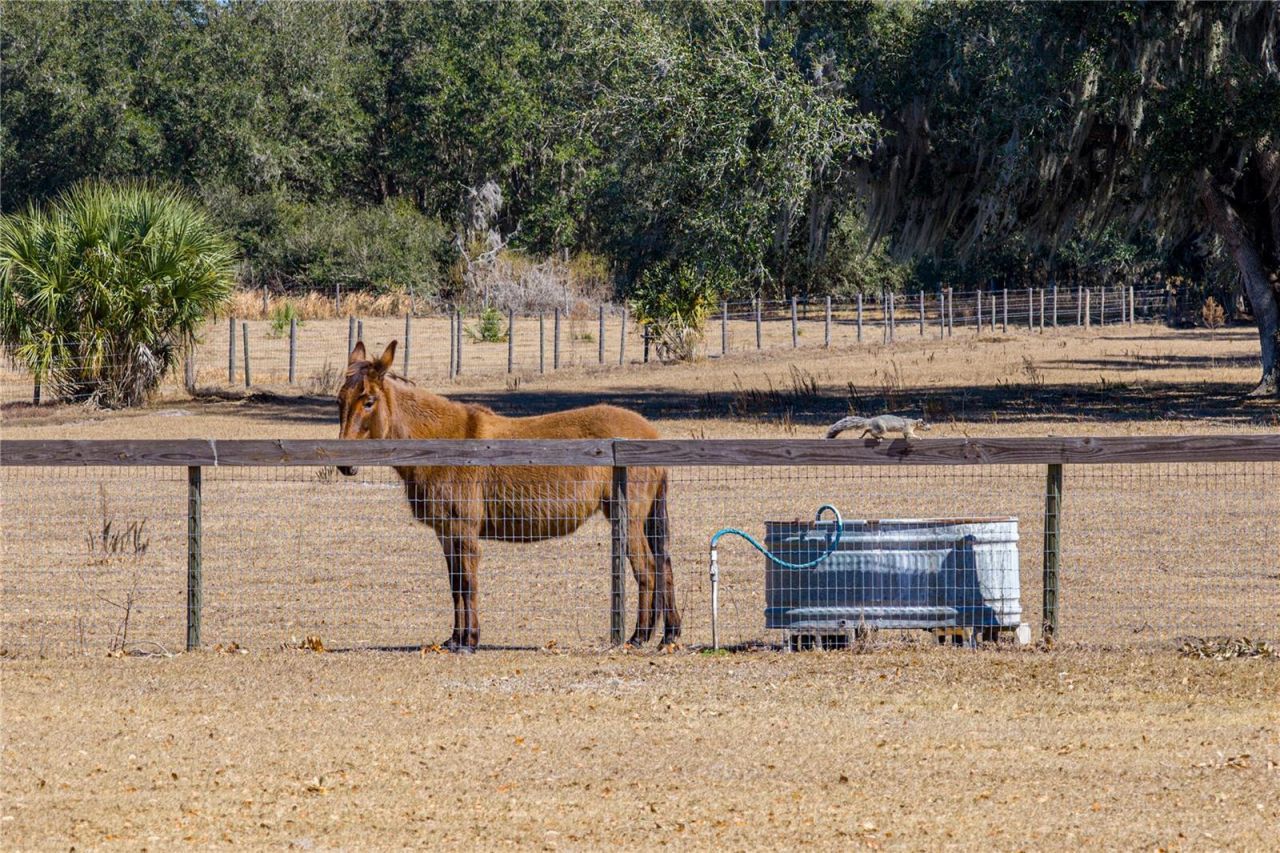 808 Old Welcome Road, Lithia, FL 33547 Photo