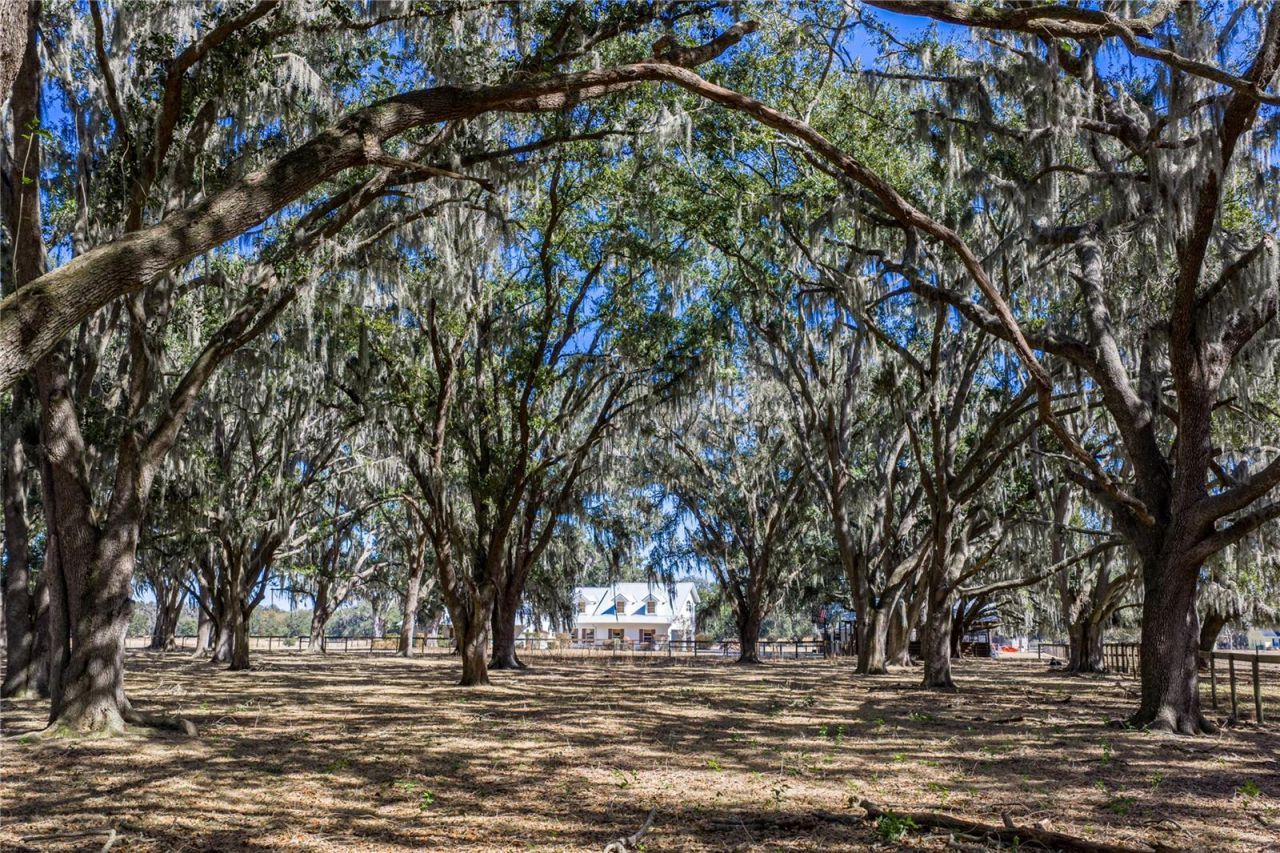 808 Old Welcome Road, Lithia, FL 33547 Photo