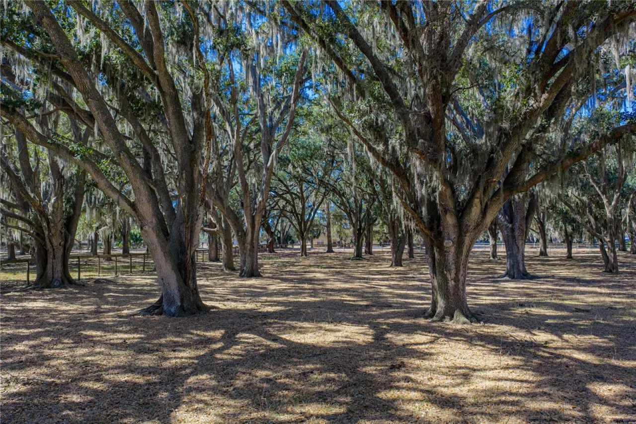 808 Old Welcome Road, Lithia, FL 33547 Photo