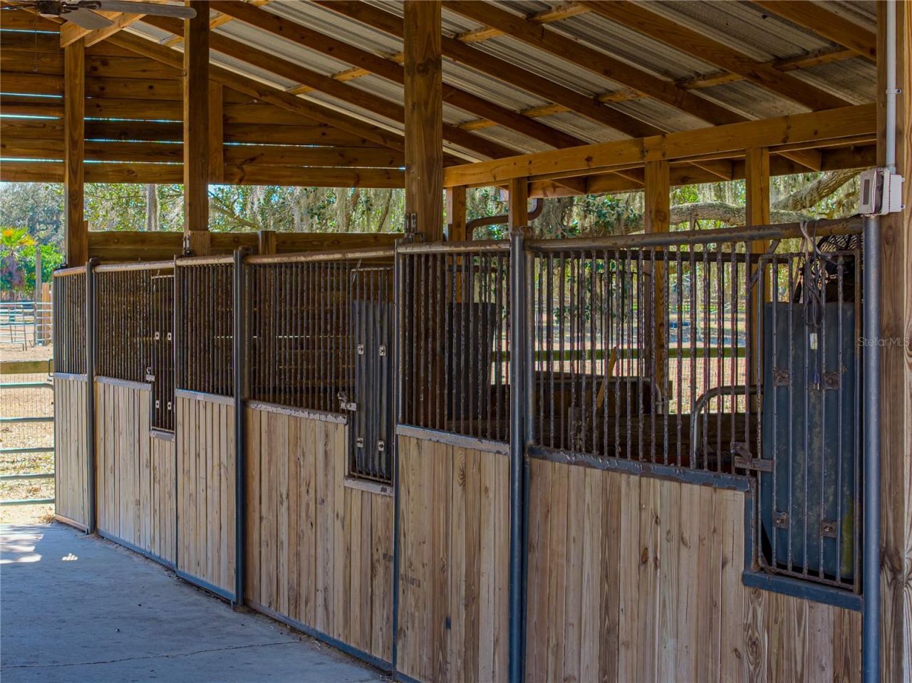 808 Old Welcome Road, Lithia, FL 33547 Photo