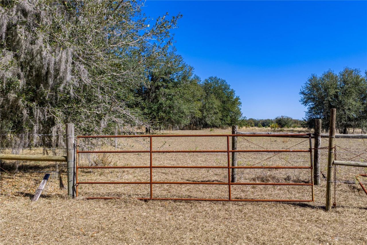 808 Old Welcome Road, Lithia, FL 33547 Photo