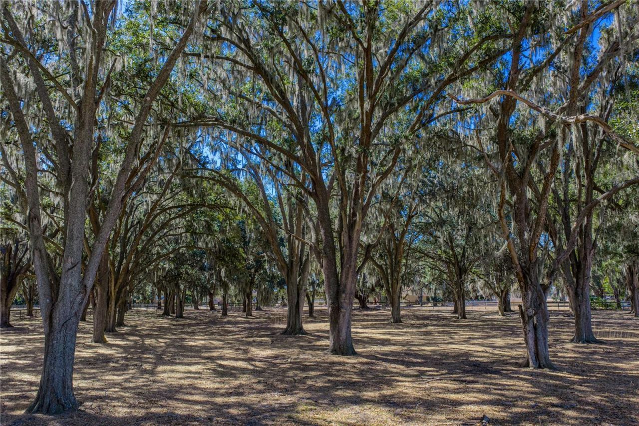 808 Old Welcome Road, Lithia, FL 33547 Photo