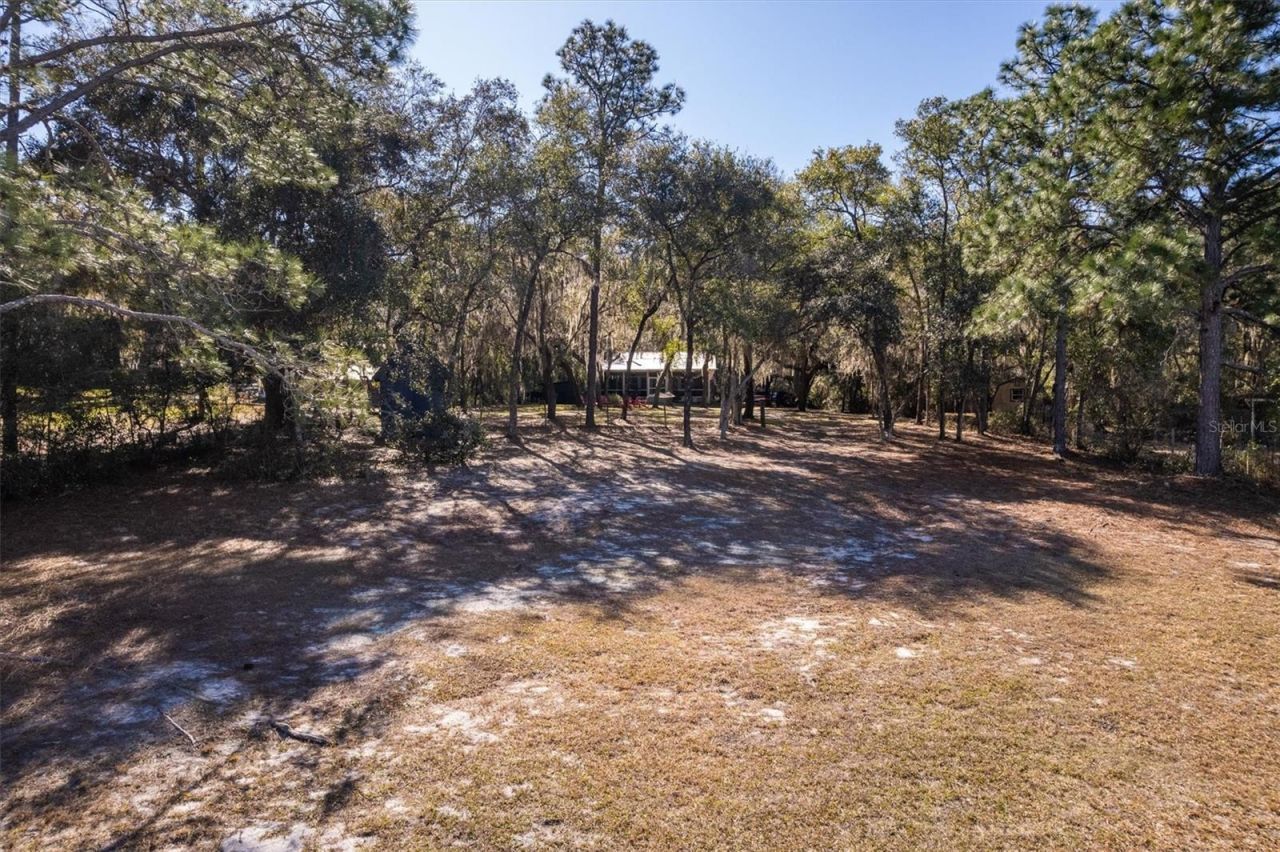 1412 Baden Powell Road, Hawthorne, FL 32640 Photo