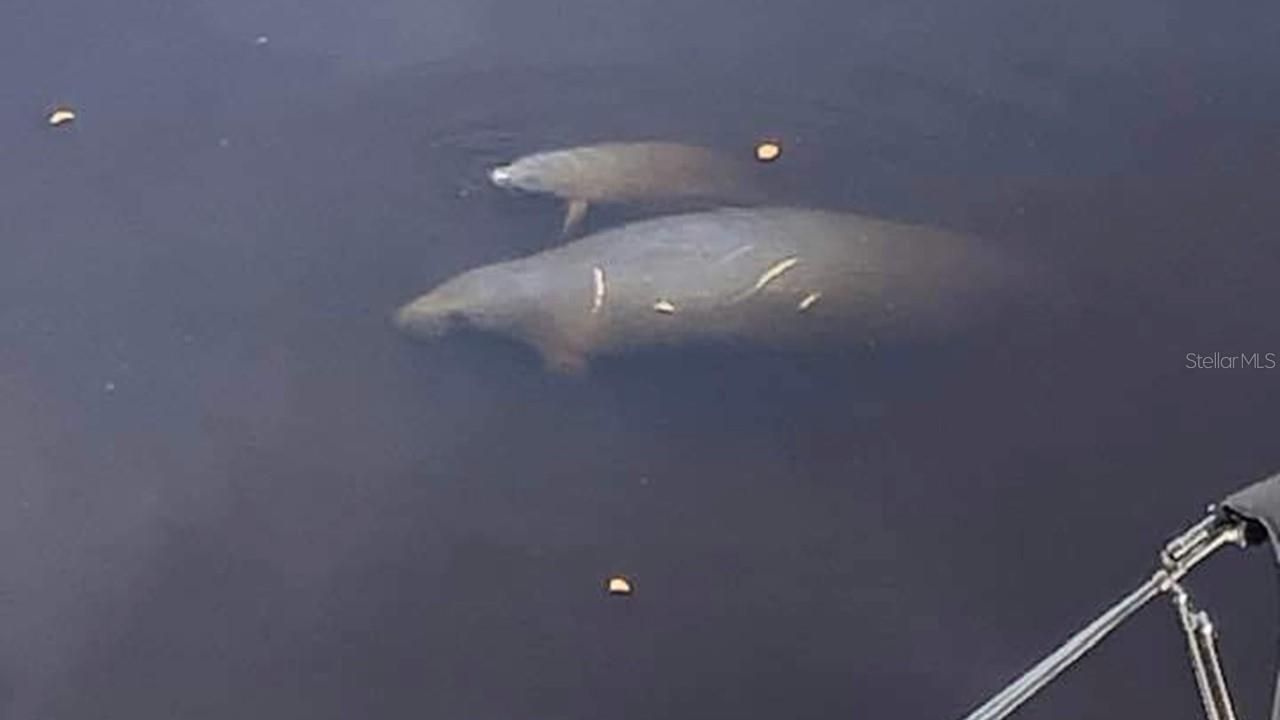 900 E Marion Avenue, Unit 1201, Punta Gorda, FL 33950 Photo