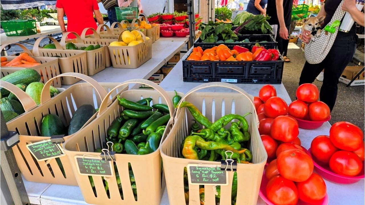 900 E Marion Avenue, Unit 1201, Punta Gorda, FL 33950 Photo