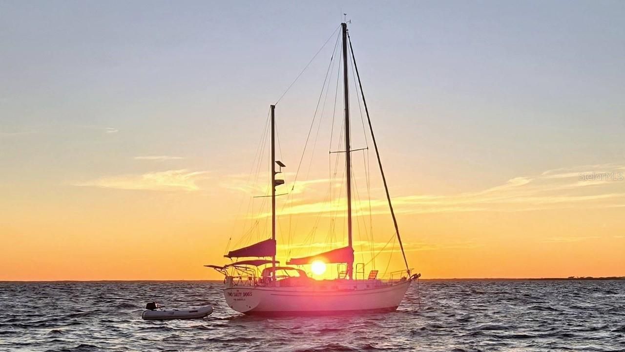 900 E Marion Avenue, Unit 1201, Punta Gorda, FL 33950 Photo