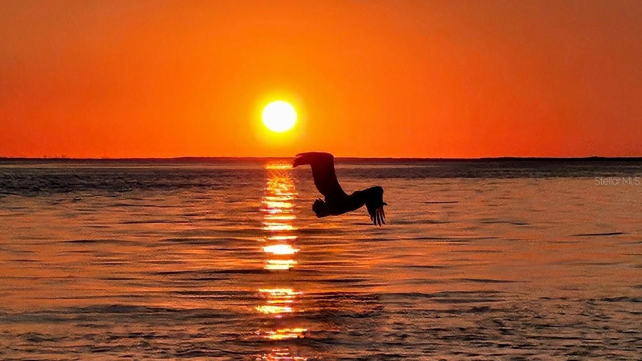 900 E Marion Avenue, Unit 1201, Punta Gorda, FL 33950 Photo