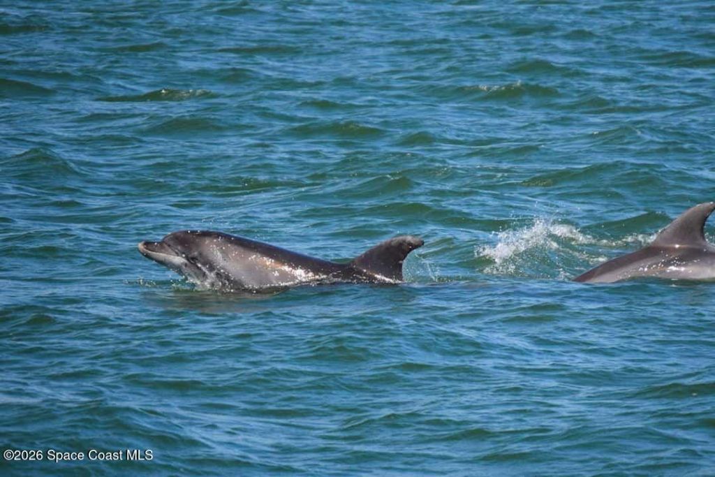 6485 Topaz Drive, Grant, FL 32949 Photo