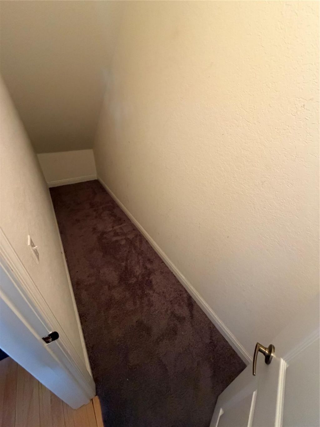 7401 Palomino Drive, Unit 117, Hollywood, FL 33024 Photo