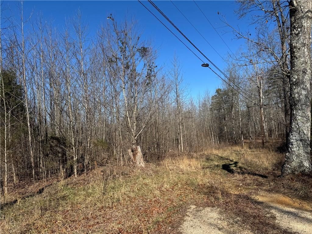 33 Riverhaven Lane, Menlo, GA 30731 Main Photo