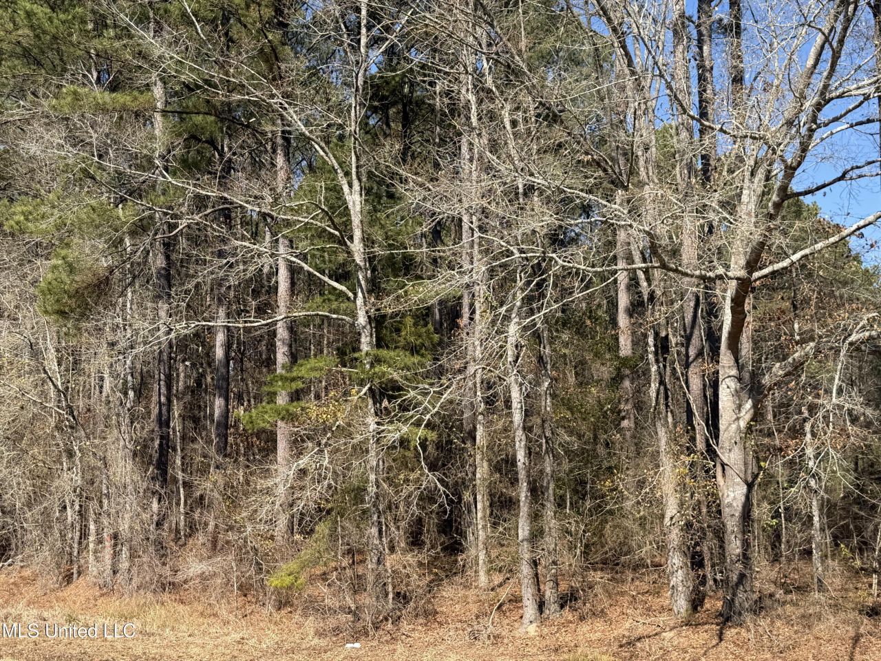 Ms-16, Camden, MS 39045 Main Photo