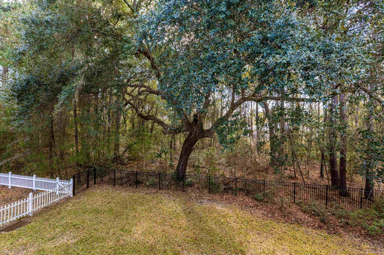 115 Harbourreef Dr. Photo 49