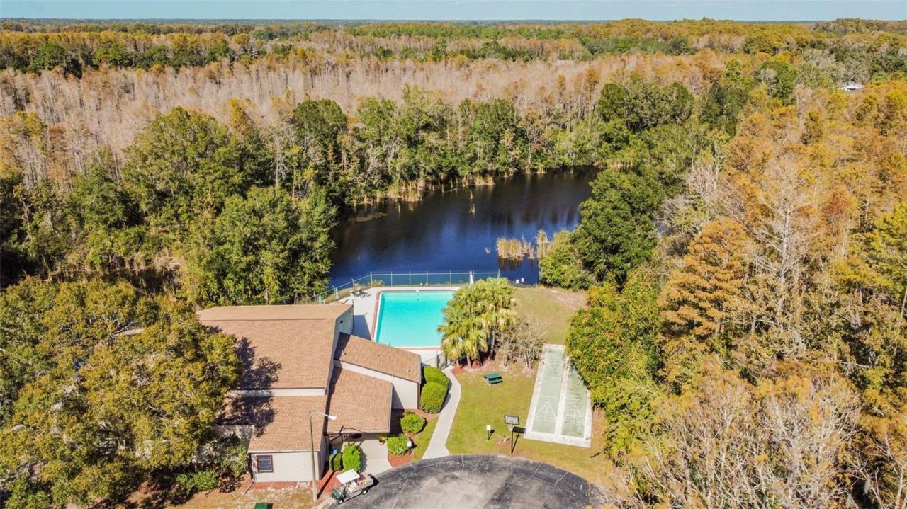 11550 Baywood Meadows Drive, Unit 7, New Port Richey, FL 34654 Photo