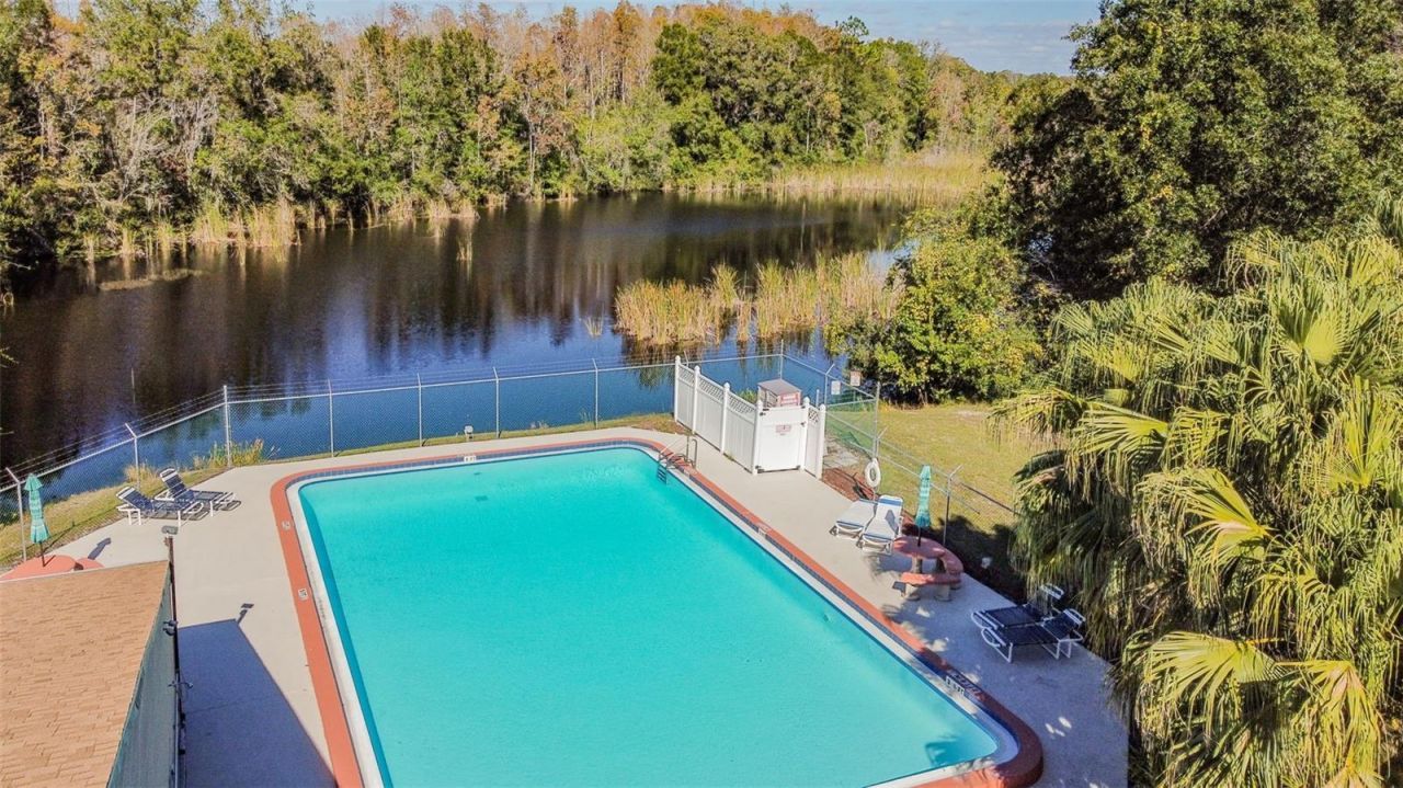 11550 Baywood Meadows Drive, Unit 7, New Port Richey, FL 34654 Photo