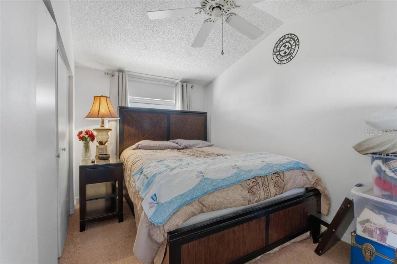 208 N Spring Boulevard, Tarpon Springs, FL 34689 Photo