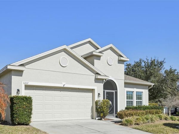 3207 ZANDER DRIVE, GRAND ISLAND, FL 32735