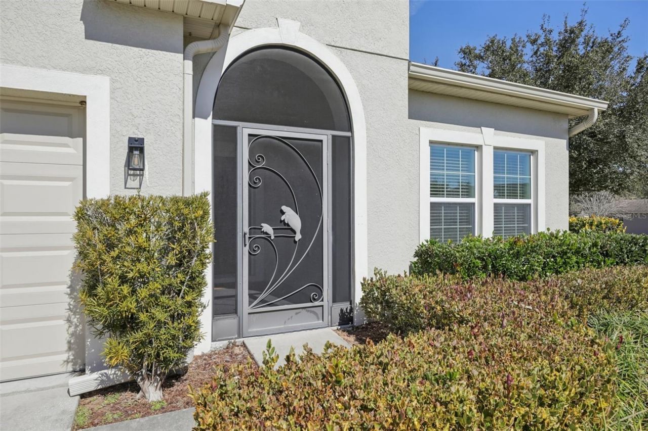 3207 Zander Drive, Grand Island, FL 32735 Photo