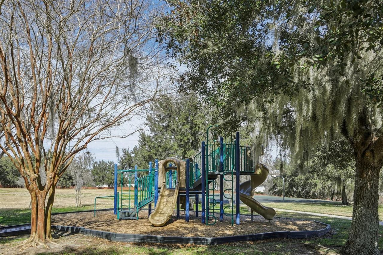 3207 Zander Drive, Grand Island, FL 32735 Photo