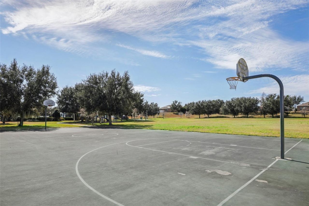 3207 Zander Drive, Grand Island, FL 32735 Photo