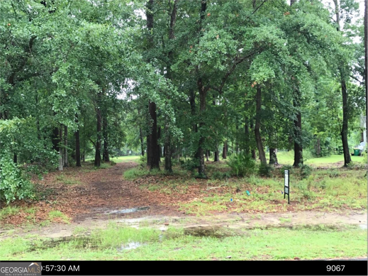 0 Winterberry Court, Unit LOT 181, Townsend, GA 31331 Main Photo