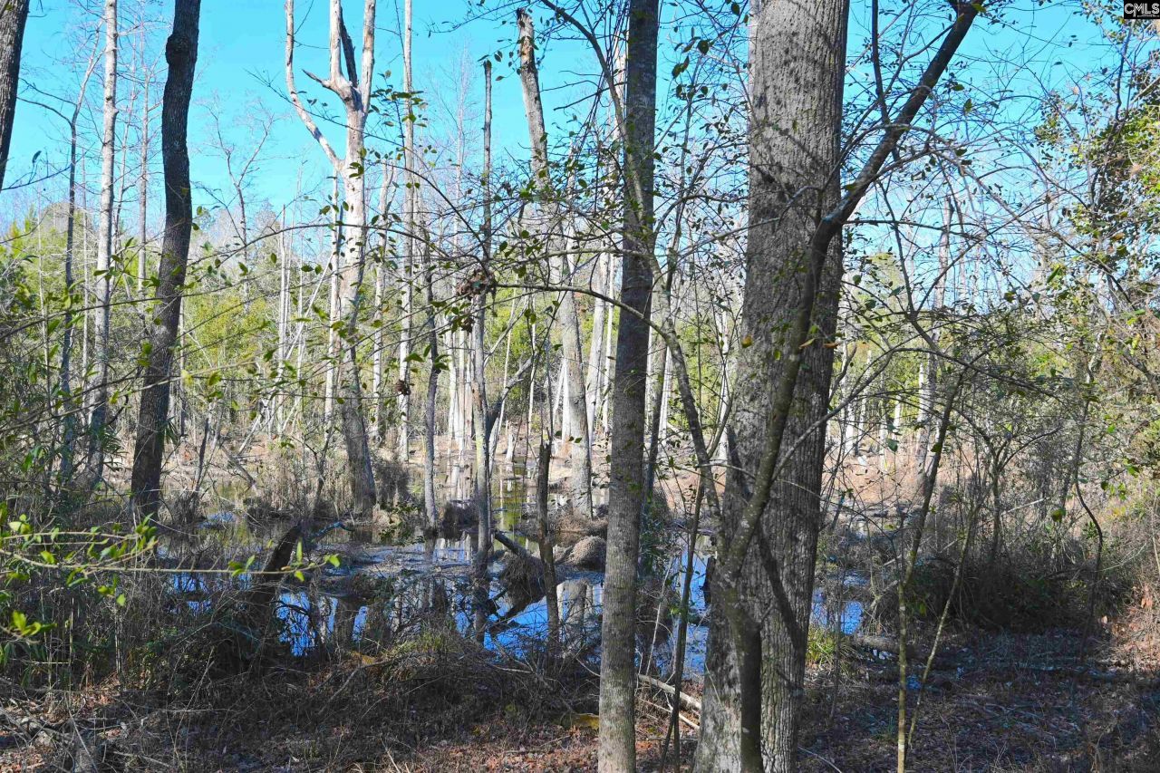 707 Mt Ebal Road  Photo 10