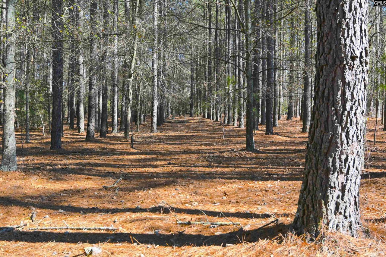 707 Mt Ebal Road  Photo 12