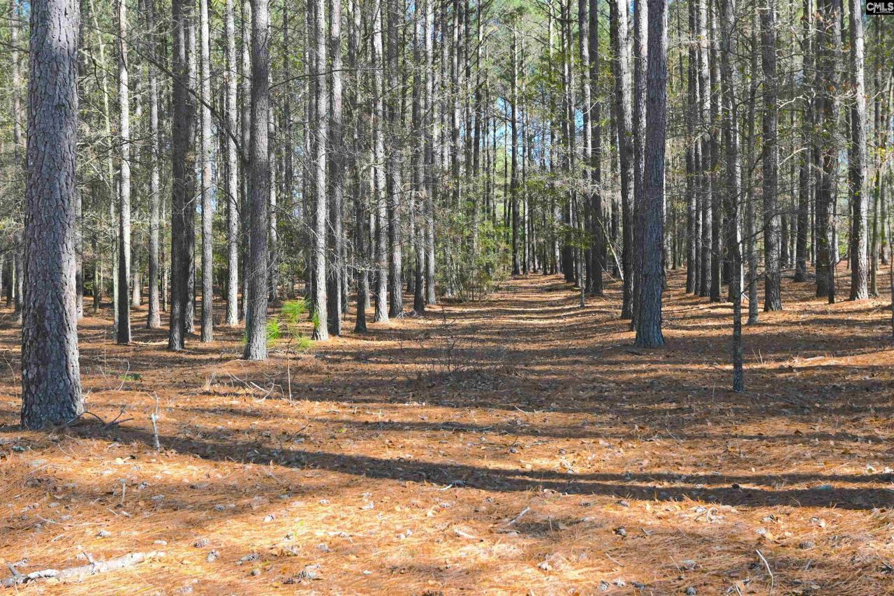 707 Mt Ebal Road  Photo 13