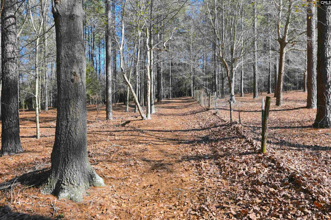 707 Mt Ebal Road  Photo 6