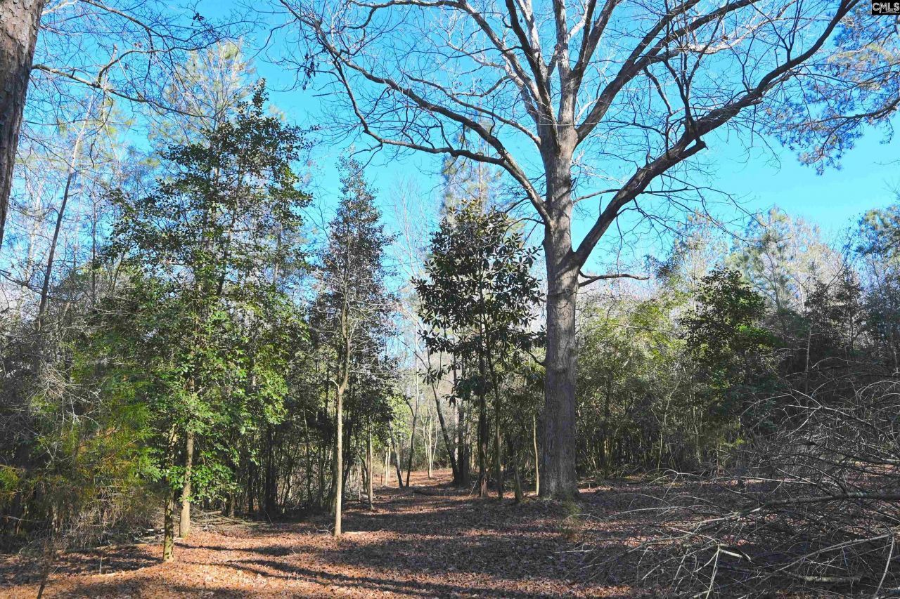 707 Mt Ebal Road  Photo 7