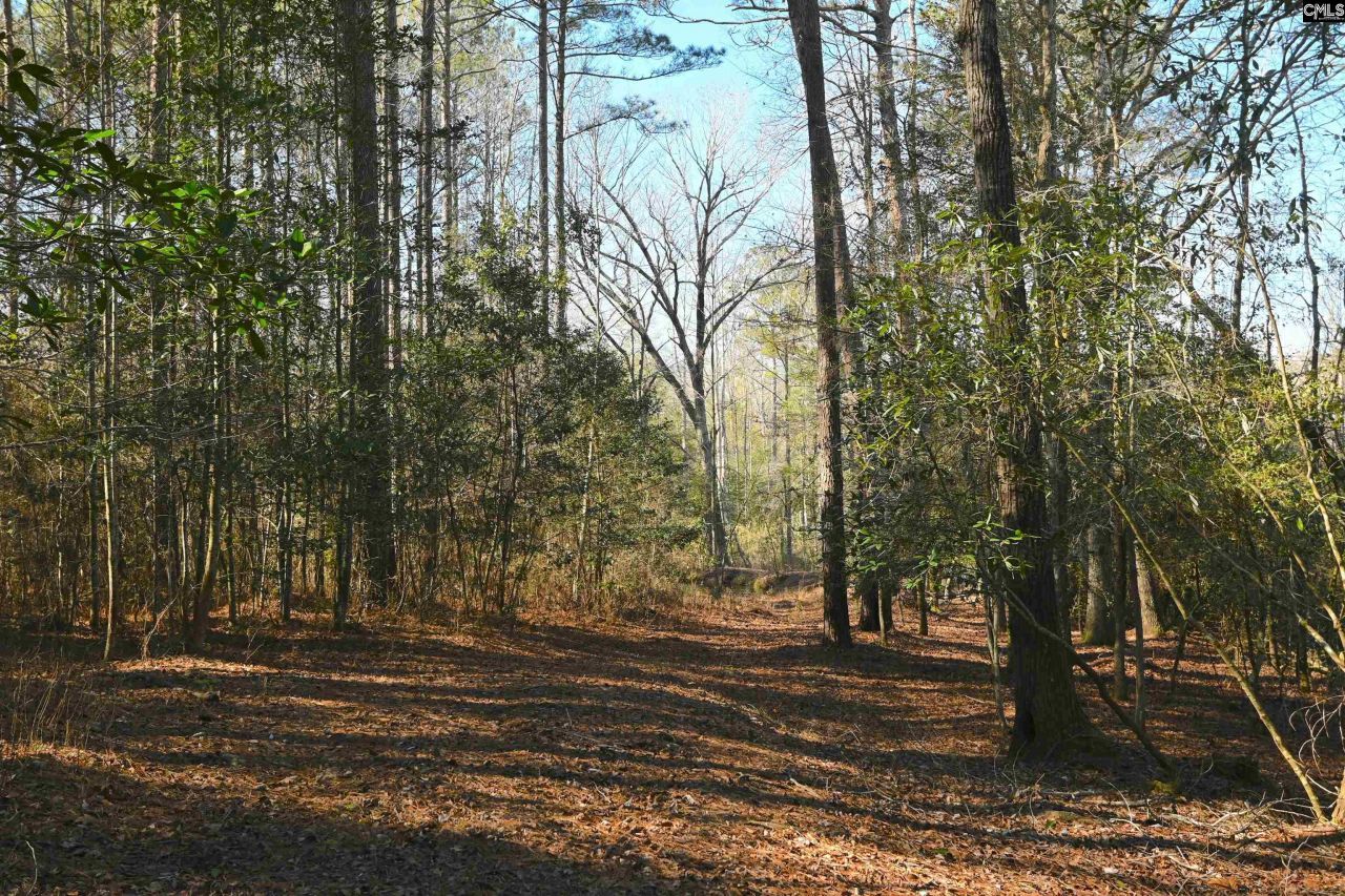 707 Mt Ebal Road  Photo 8