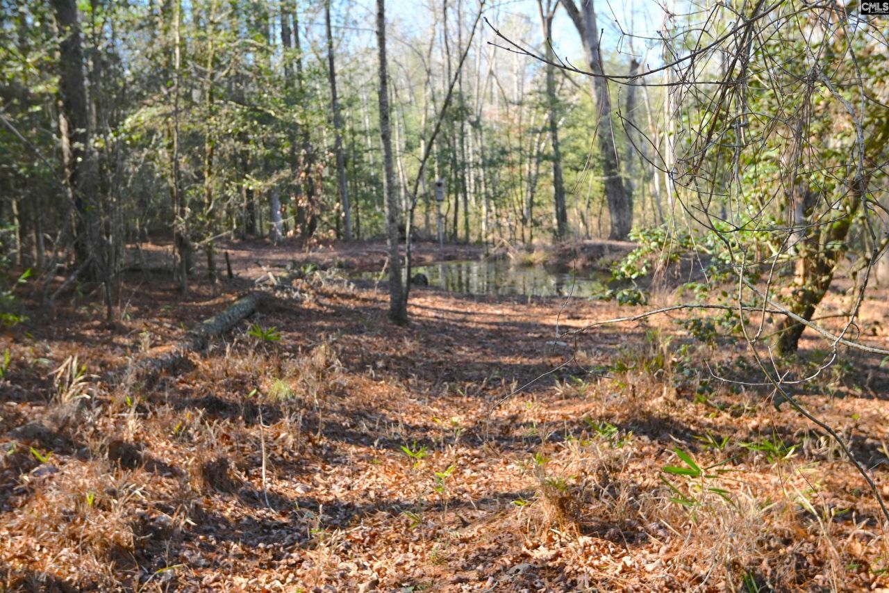 707 Mt Ebal Road  Photo 9