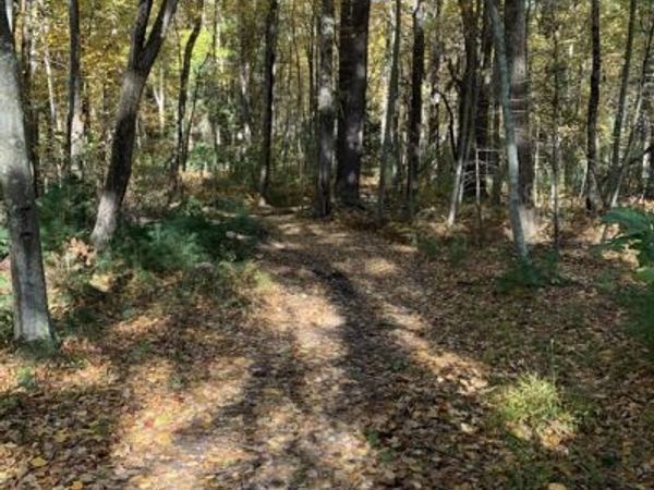 90 Maple St, Sherborn, MA 01770