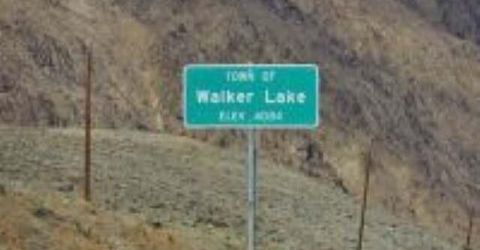 776 Gladys Drive, Walker Lake, NV 89415 Photo