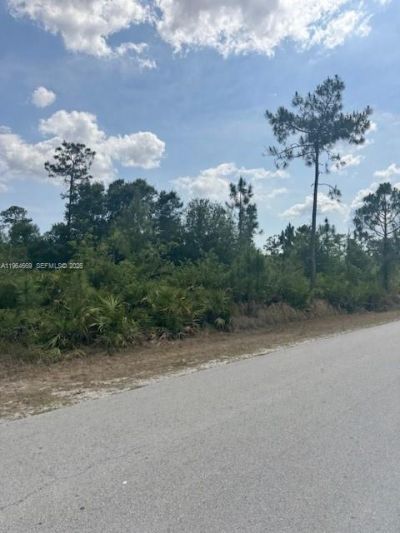 3104 E 10th St, Lehigh Acres, FL 33972 Photo