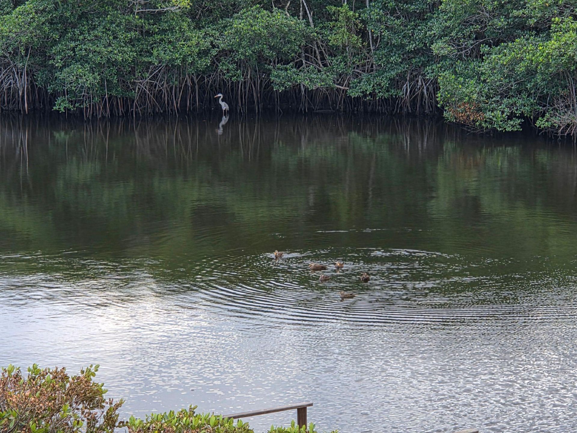 950 S Kanner Highway, Unit 206, Stuart, FL 34994 Photo