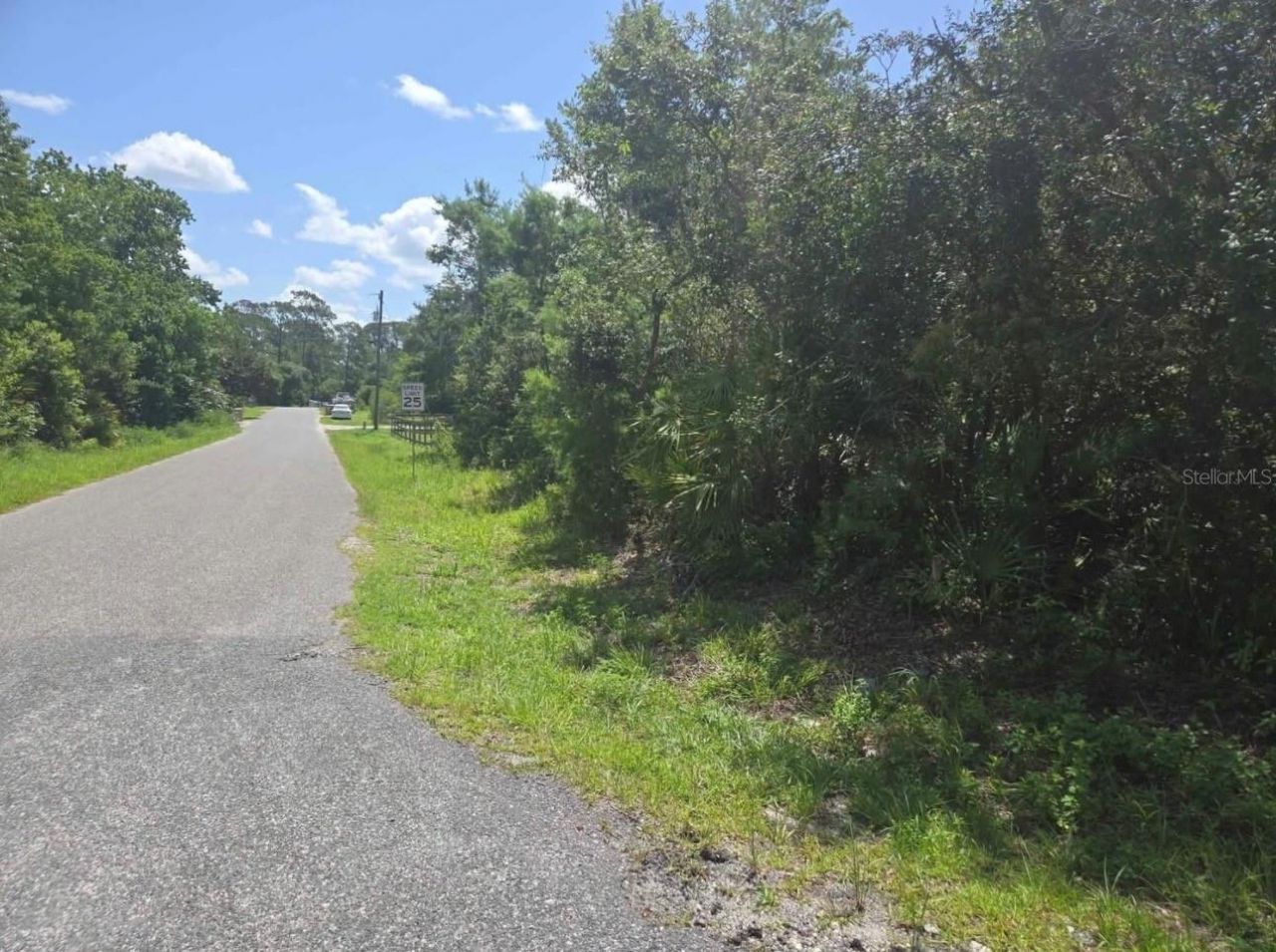 45560 Georgia Street, Paisley, FL 32767 Photo