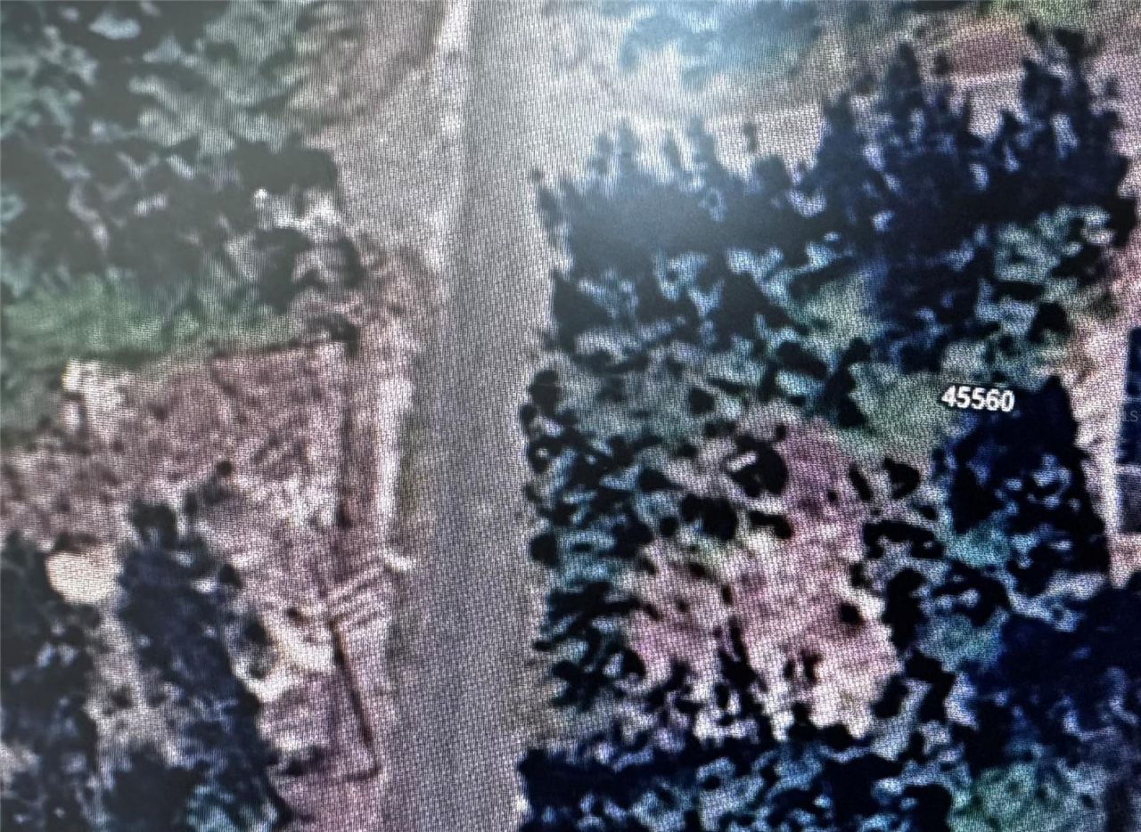 45560 Georgia Street, Paisley, FL 32767 Photo