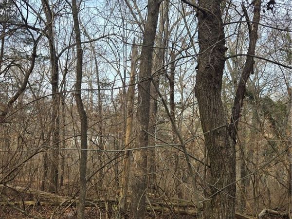 17912 Driftwood Approach, Fayetteville, AR 72774