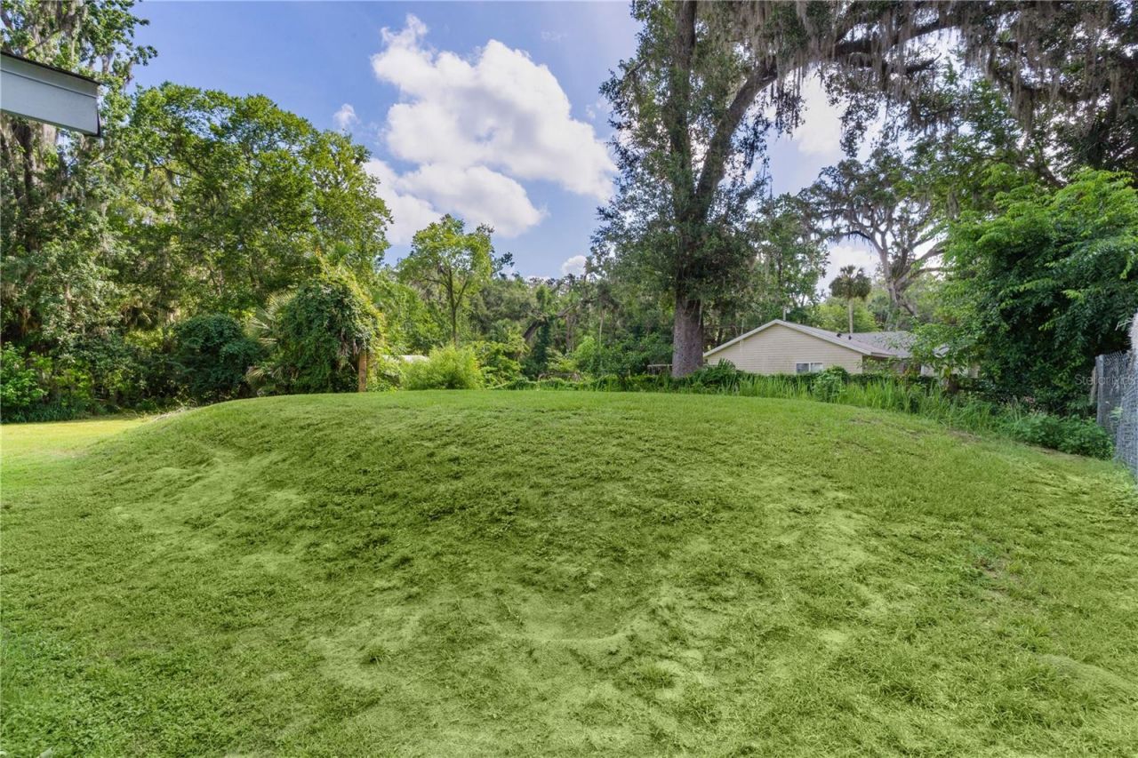 2597 NW Cr 426f Street Ne, Lake Panasoffkee, FL 33538 Photo