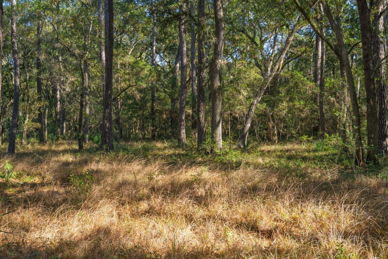 0 Bailey Island Lane Photo 14