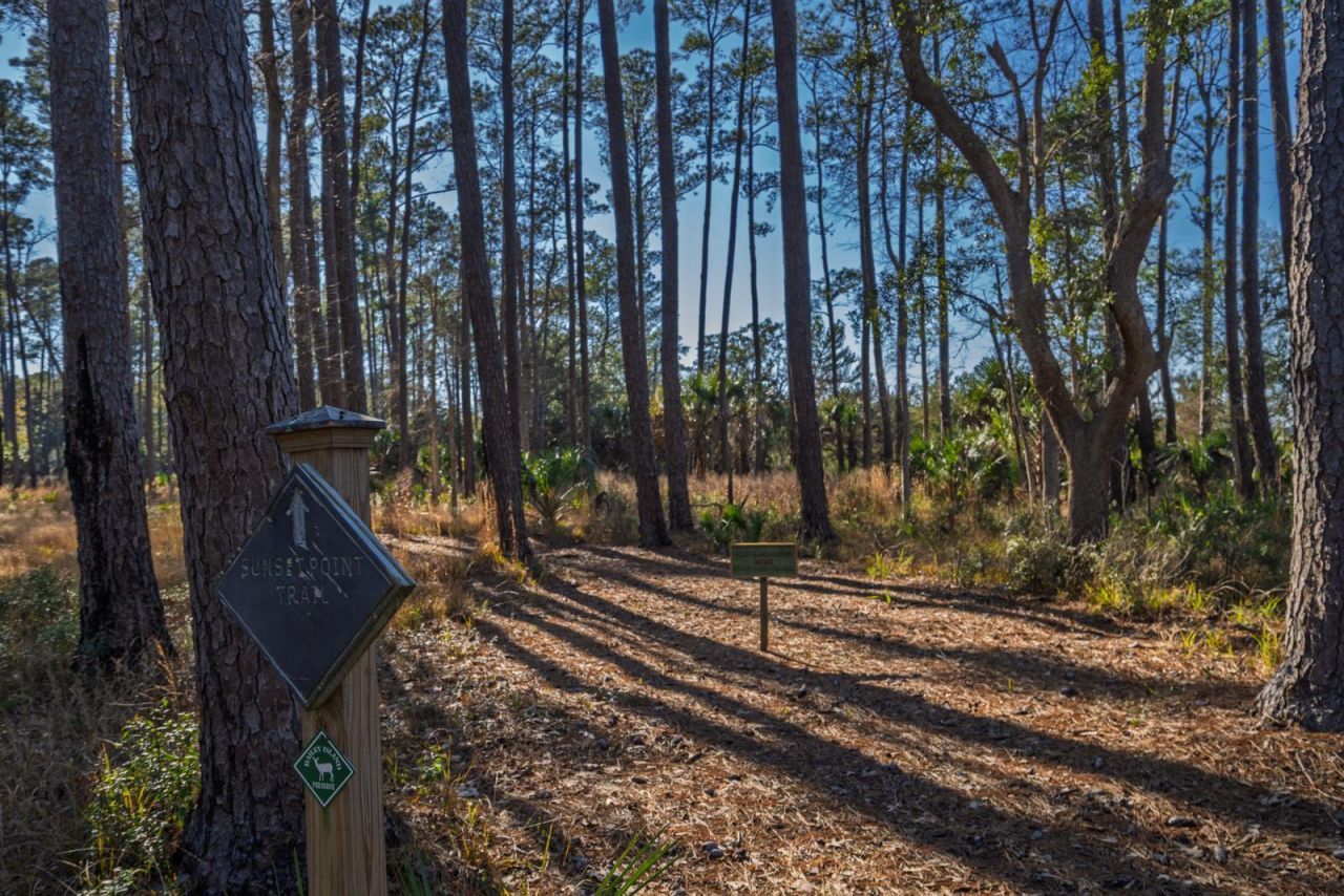 0 Bailey Island Lane Photo 29