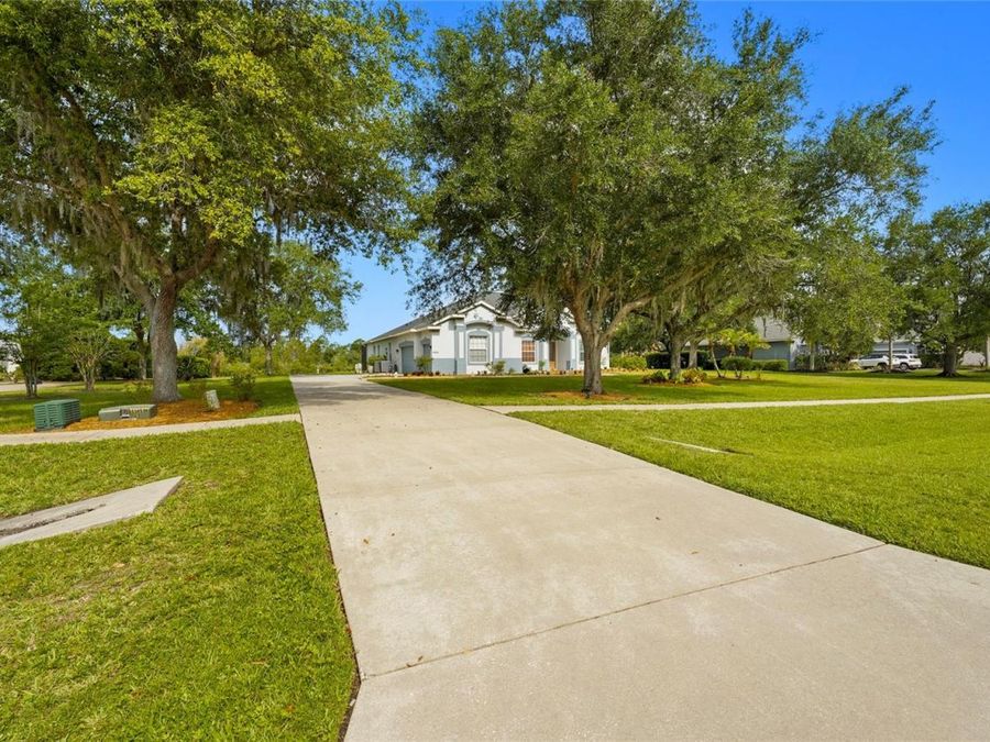 Property Image 54