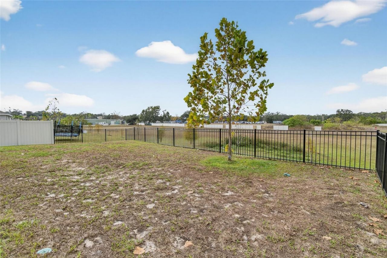 7511 Rosewood Garden Loop, Tampa, FL 33637 Photo