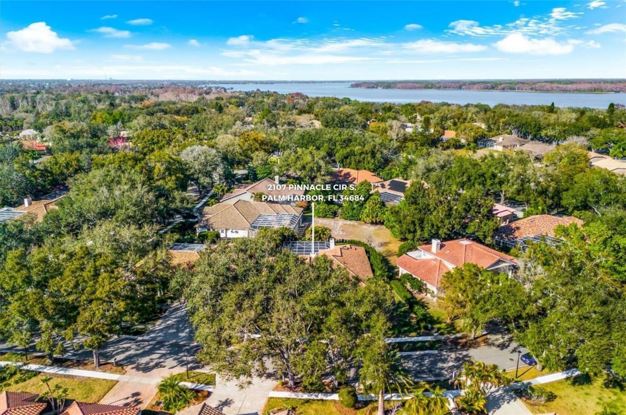 2107 Pinnacle Circle S, Palm Harbor, FL 34684 Photo