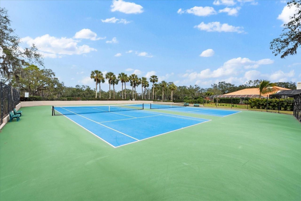 2107 Pinnacle Circle S, Palm Harbor, FL 34684 Photo