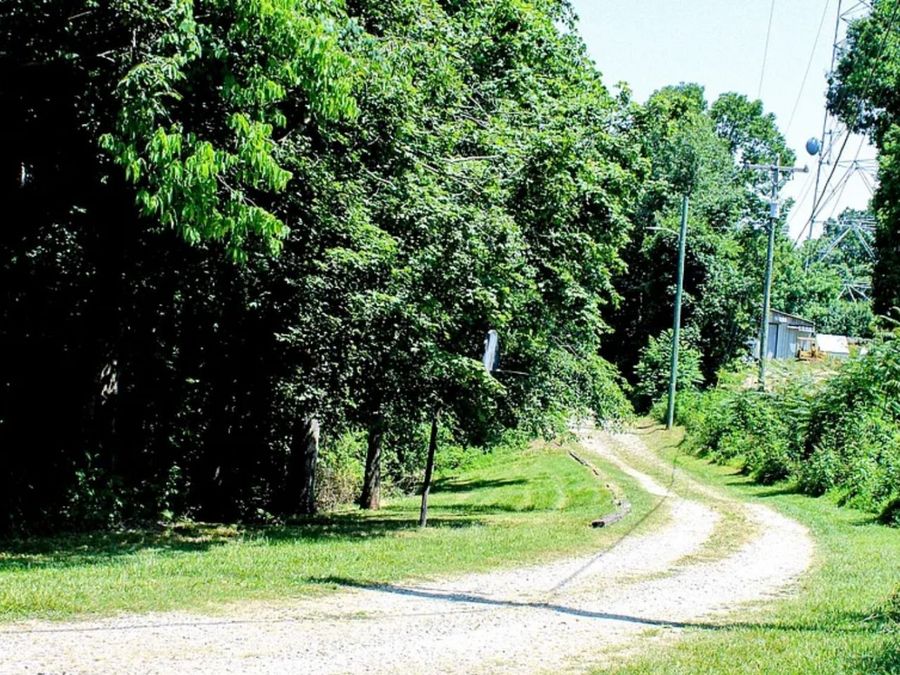 Property Image 6
